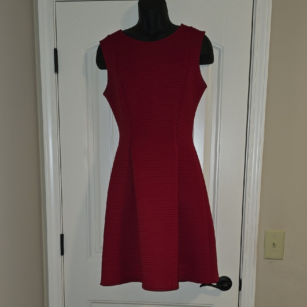 Chic Sleeveless Red Mini Dress